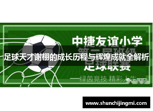 足球天才谢栩的成长历程与辉煌成就全解析