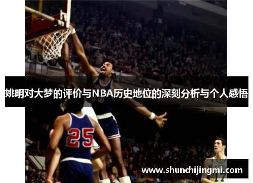 姚明对大梦的评价与NBA历史地位的深刻分析与个人感悟