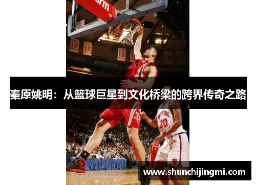 秦原姚明：从篮球巨星到文化桥梁的跨界传奇之路