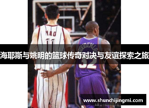 海耶斯与姚明的篮球传奇对决与友谊探索之旅