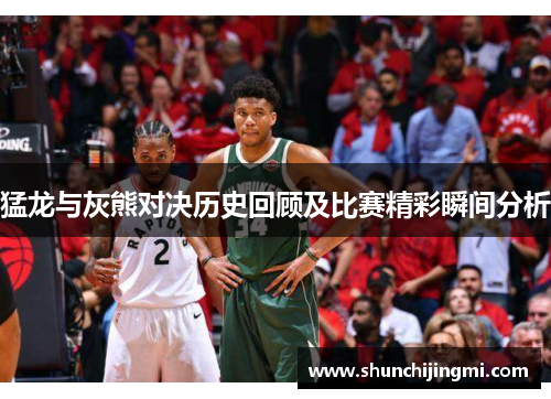 猛龙与灰熊对决历史回顾及比赛精彩瞬间分析